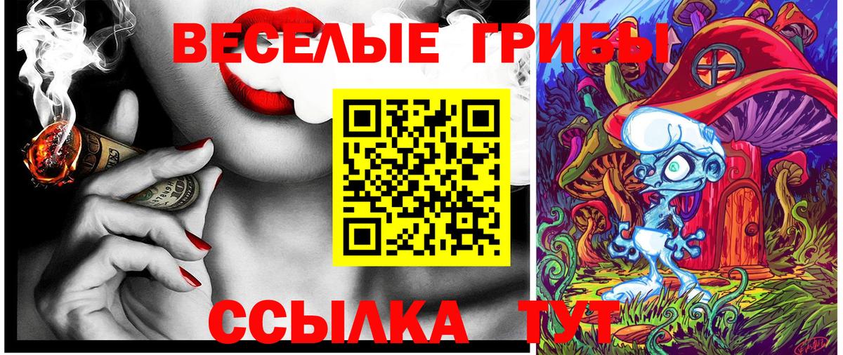 Галлюциногенные грибы прущие грибы  Псилоцибиновые грибы MAGIC MUSHROOMS  Бийск  Вход с VPN 